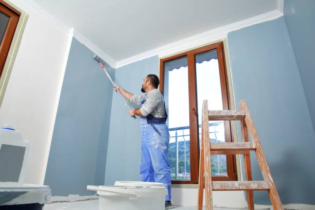 Best Mold Remediation for Rental Properties  in Brownstown, PA