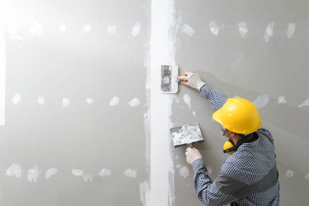 Best Asbestos and Lead Testing During Mold Inspection  in Brownstown, PA