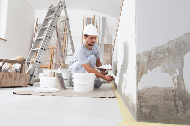 Best Mold Damage Restoration  in Brownstown, PA