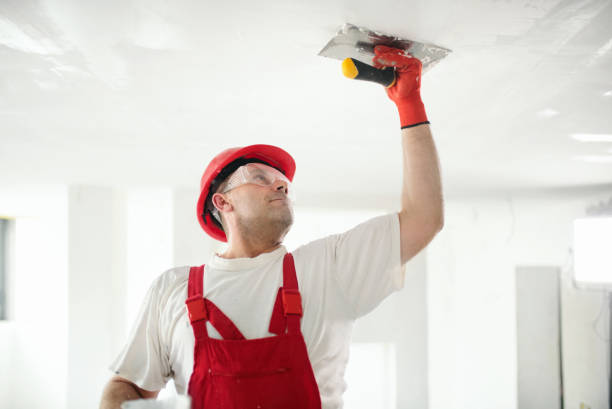 Best Residential Mold Inspection & Testing  in Brownstown, PA