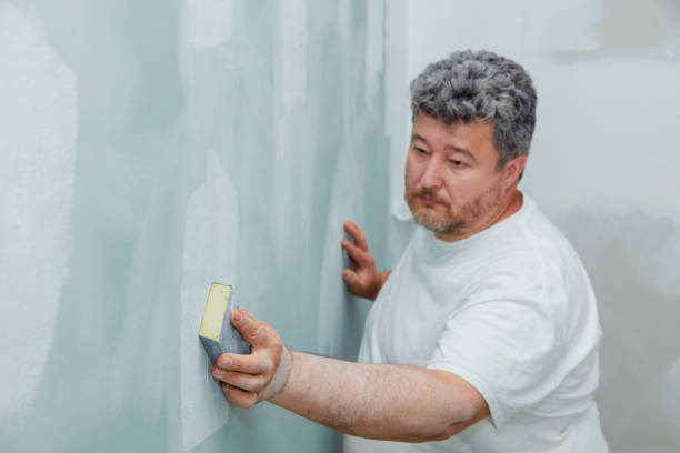Best Attic Mold Removal  in Brownstown, PA