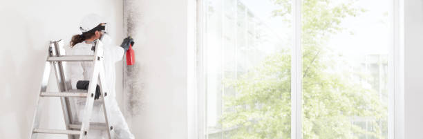 Dehumidification Services in Brownstown, PA