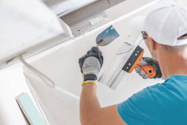 Best Mold Odor Removal Services  in Brownstown, PA